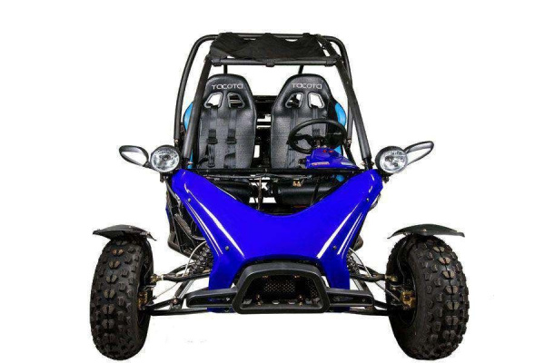 Багги YACOTA (Якота) COBRA с ПСМ | Мототека